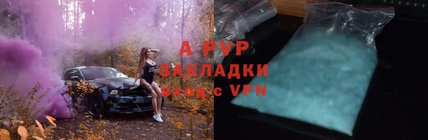apvp Алексин