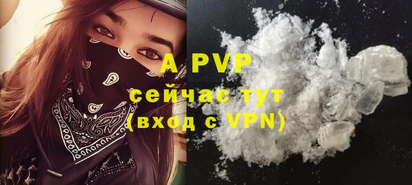 apvp Алексин