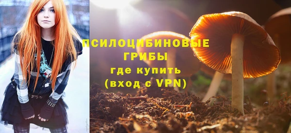 не бодяженный Алзамай