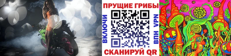 где можно купить   Чадан  кракен рабочий сайт  Галлюциногенные грибы мухоморы 