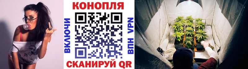 ссылка на мегу как зайти  купить   Чадан  Каннабис Bruce Banner 
